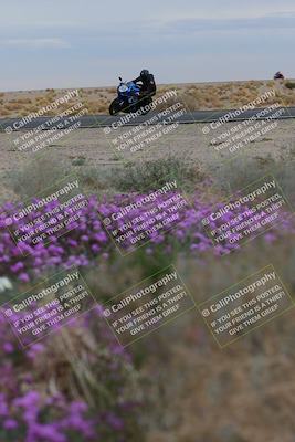 media/Jan-14-2023-SoCal Trackdays (Sat) [[497694156f]]/Turn 14 Exit Bloomig (145pm)/